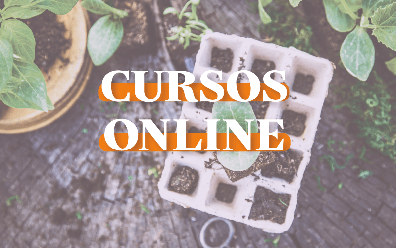 CURSOS ONLINE