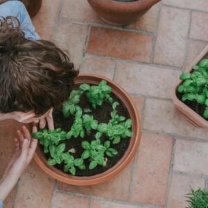 Jardinería integral 2026