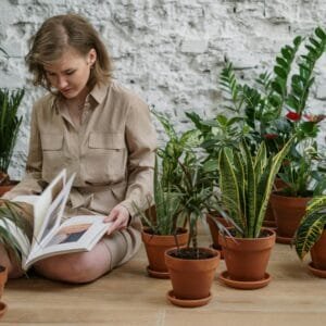 Curso Plantas de interior