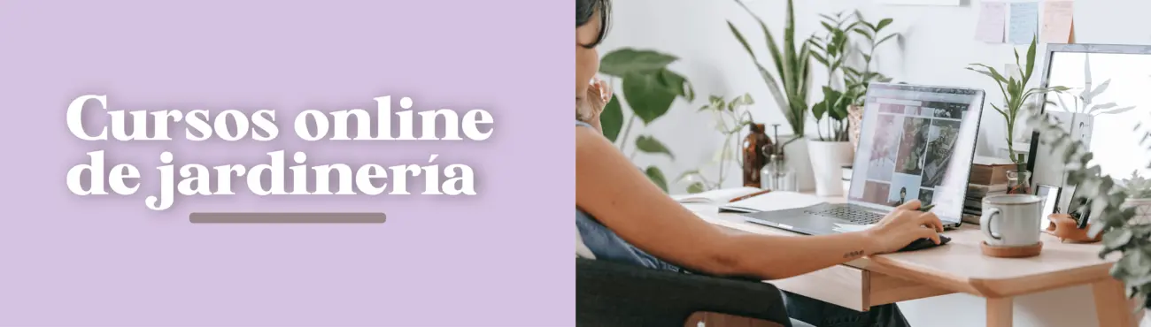Cursos online